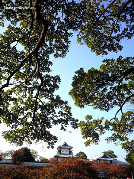向かい側から見た石川門-1.jpg