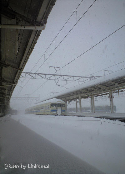 雪に埋まる敦賀駅_1.jpg